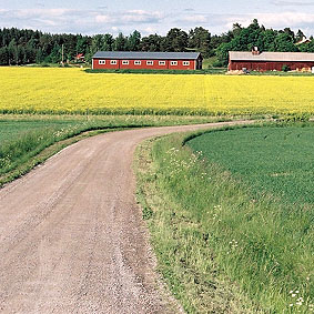 Grusvägen