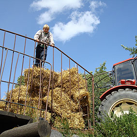 Marcus bärgar hö